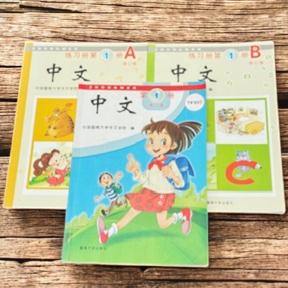 Set of 3 Chinese Mandarin Textbooks 中文 学生书 A & B Volumes – Elementary - Picture 1 of 9